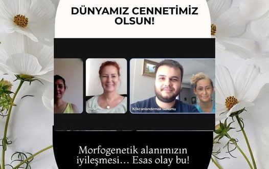 15.7.2025