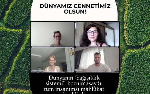 17.06.2025