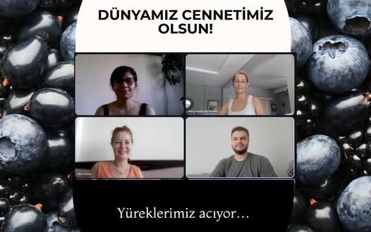 29.7.2025